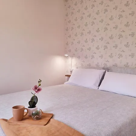 En El Centro Recien Reformado Apartment Santander