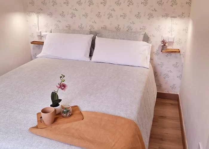 En El Centro Recien Reformado Apartment Santander